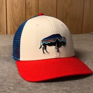 Patagonia trucker hat